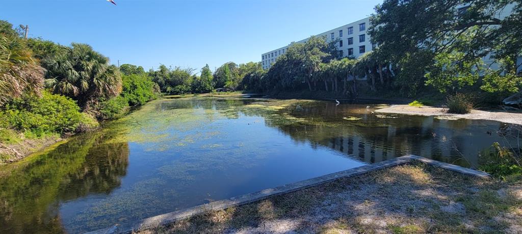 701 S MADISON AVENUE UNIT 316, CLEARWATER, FL — photo 2 of 11