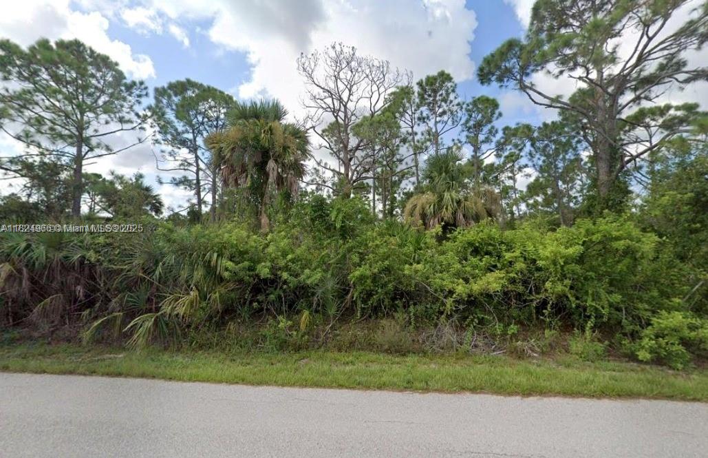 A view of a vacant, wooded lot covered in dense vegetation and tall pine trees — 27059 Capistrano Dr, Punta Gorda FL 33955, PUNTA GORDA, FL