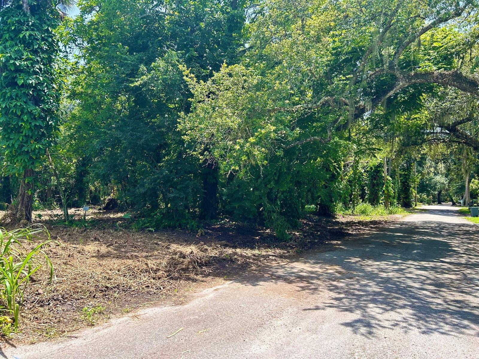 A paved road runs alongside a wooded lot with cleared ground and dense green trees — 14560 SW Sonora Terrace, FL 34956, FL