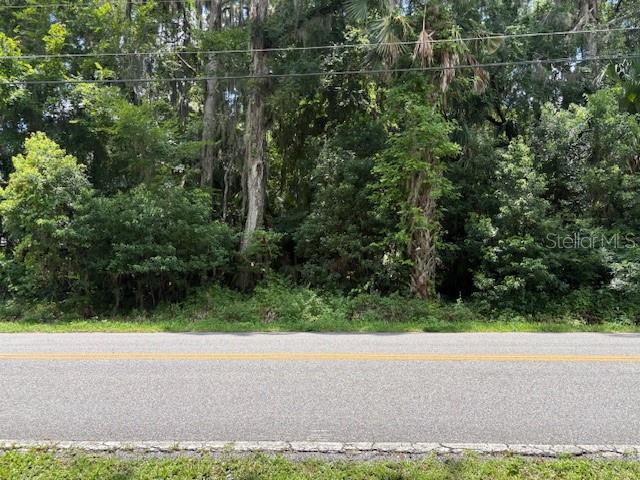 A paved road runs in front of a densely wooded, undeveloped lot — 2263 HONTOON ROAD, DELAND, FL