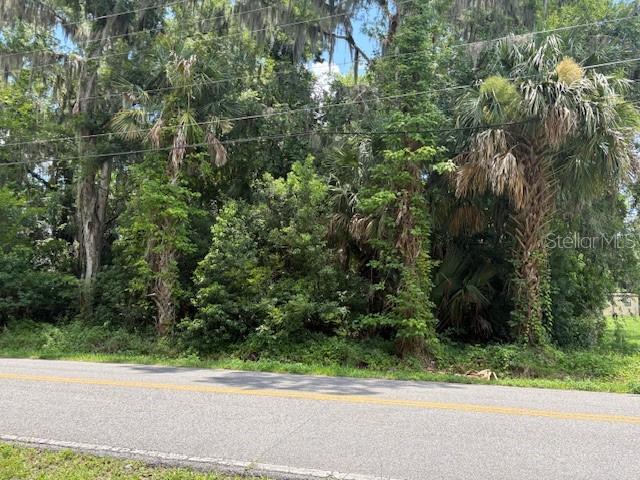 A paved road runs in front of a densely wooded lot with palm trees — 2263 HONTOON ROAD, DELAND, FL