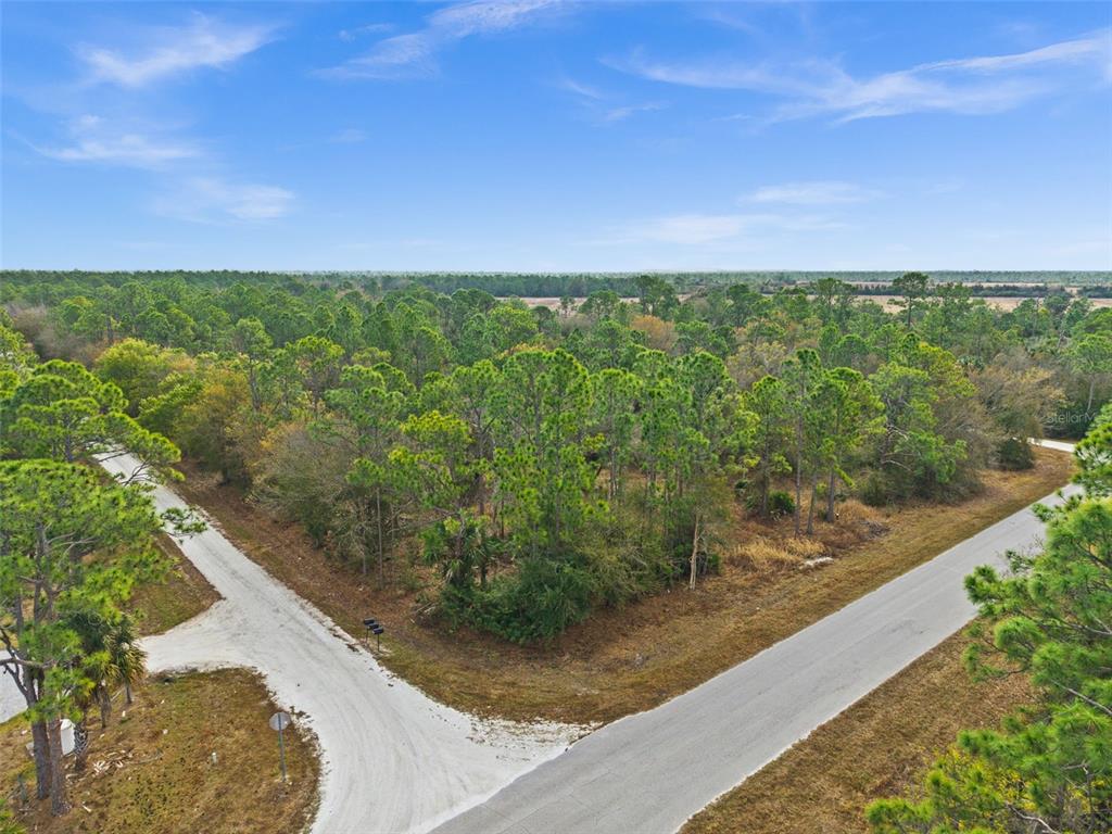 An aerial view shows a wooded corner lot at the intersection of two roads — 13484 MICHILIN AVENUE, PUNTA GORDA, FL