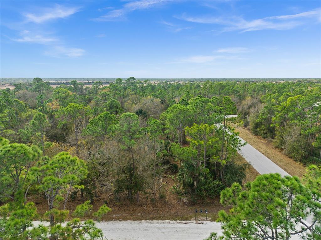 An aerial view shows a wooded lot bordered by a paved road — 13484 MICHILIN AVENUE, PUNTA GORDA, FL