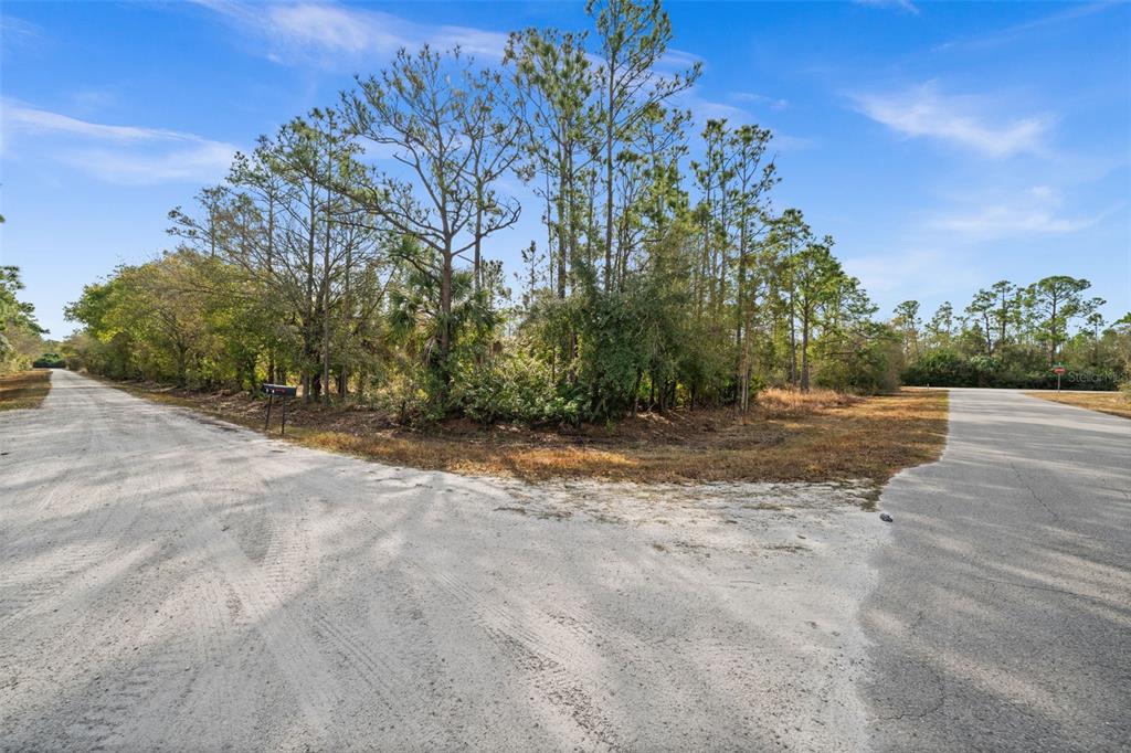 A dirt road meets a paved road at a corner lot with trees and brush — 13484 MICHILIN AVENUE, PUNTA GORDA, FL