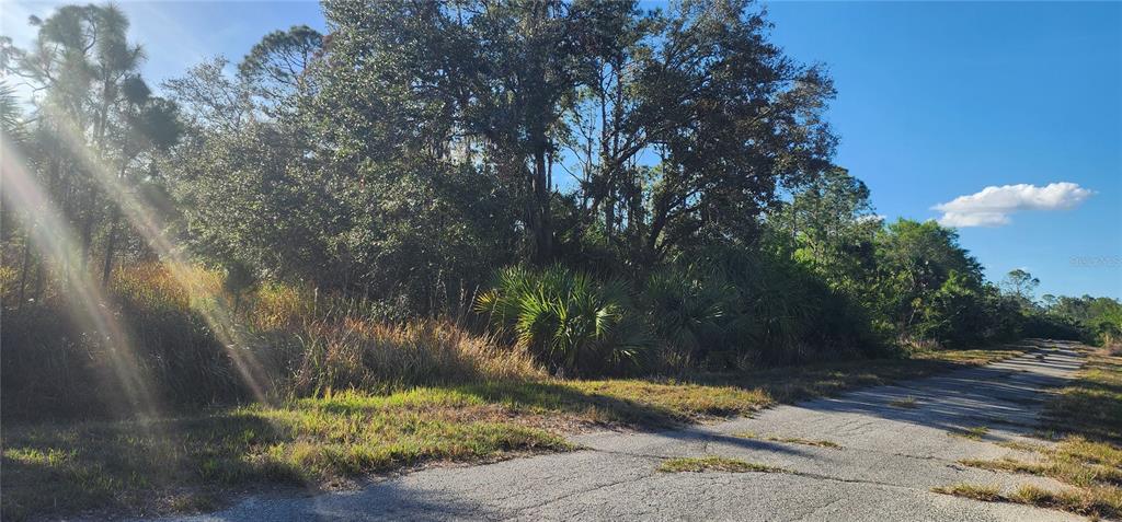 A paved road runs alongside a wooded, undeveloped lot with dense trees and palmetto bushes — CERIMAN ROAD, NORTH PORT, FL