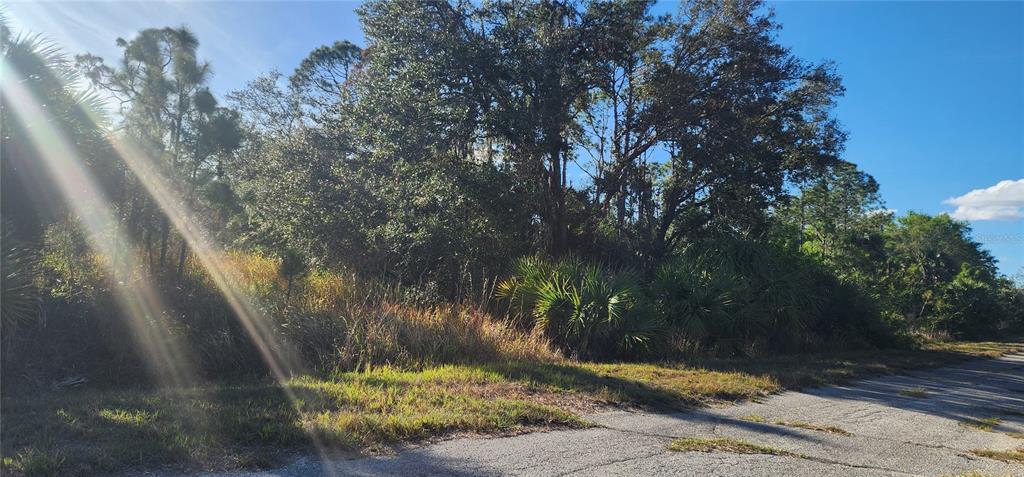 A vacant, wooded lot with tall grass and palm trees borders an old paved road — CERIMAN ROAD, NORTH PORT, FL