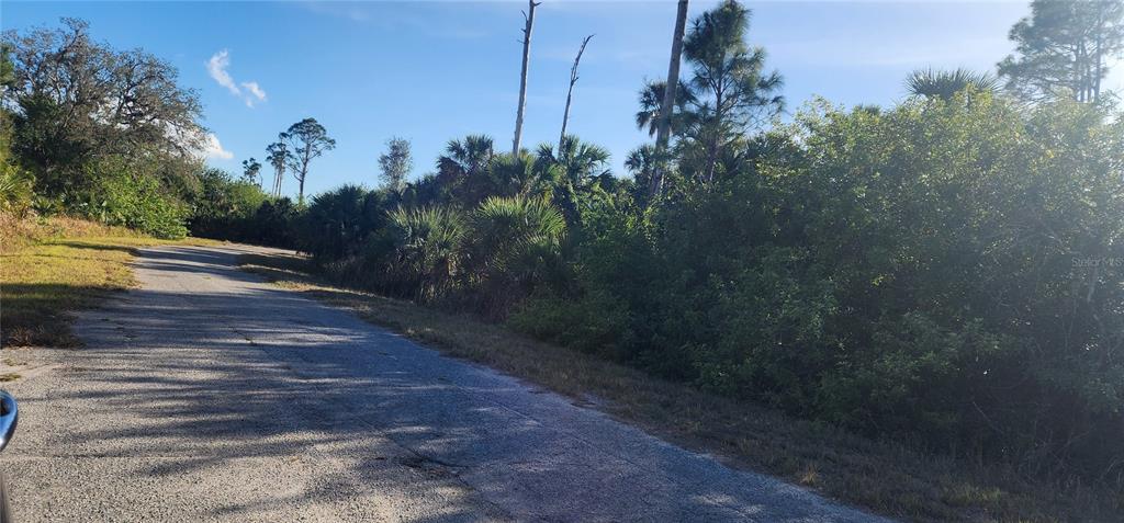A paved road runs alongside a dense area of trees and shrubs under a blue sky — CERIMAN ROAD, NORTH PORT, FL