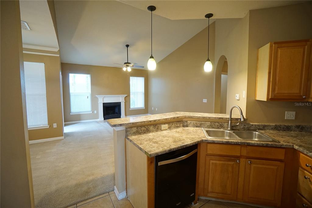 A kitchen with wood cabinets and a breakfast bar overlooks a carpeted living room area — 18004 VILLA CREEK DRIVE, TAMPA, FL