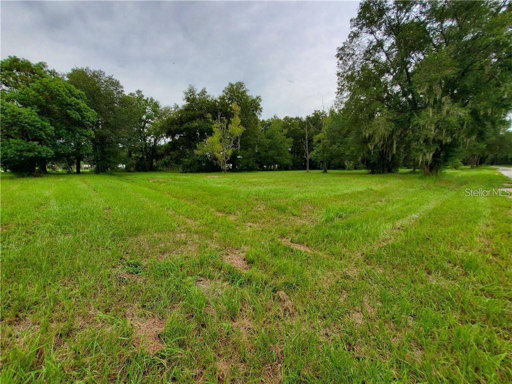 A large, grassy, vacant lot is surrounded by mature trees under a cloudy sky — FRAZEE COURT, DADE CITY, FL