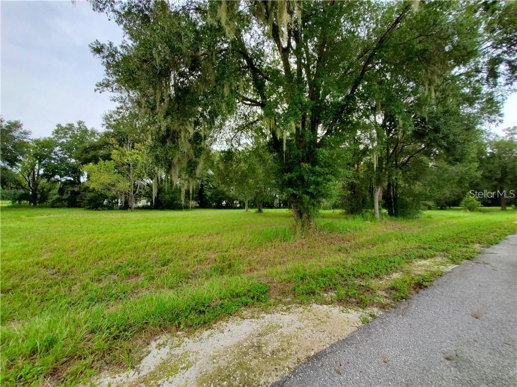 A grassy, tree-filled vacant lot sits adjacent to a paved road — FRAZEE COURT, DADE CITY, FL