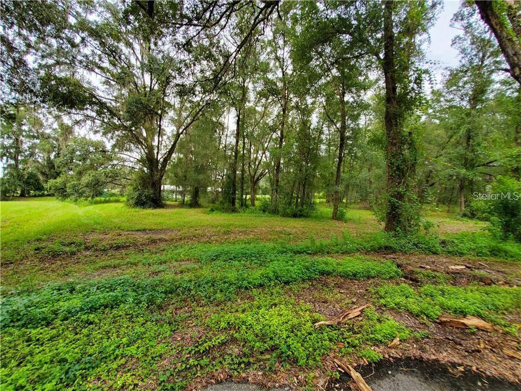A grassy, wooded lot with mature trees and scattered vegetation under an overcast sky — FRAZEE COURT, DADE CITY, FL