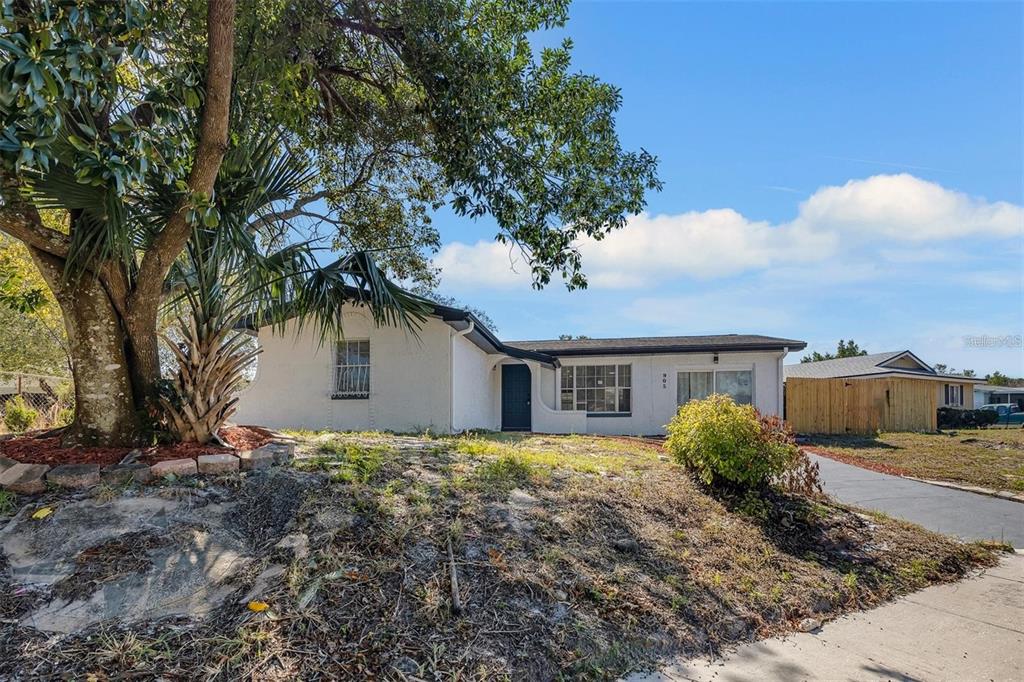 A single-story white house with a dark roof and a large tree in the yard — 905 SPRING CREEK DRIVE, OCOEE, FL