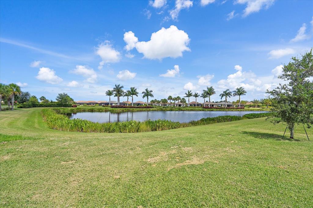 A grassy lawn leads to a pond with palm trees and houses in the background — 10141 MILKY WAY CIRCLE, SARASOTA, FL