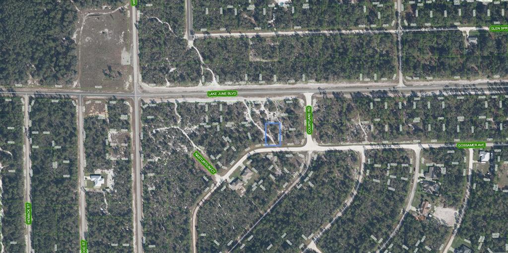 An aerial map view shows a highlighted vacant residential lot located near a street intersection — 3324 GOSSAMER AVENUE, LAKE PLACID, FL