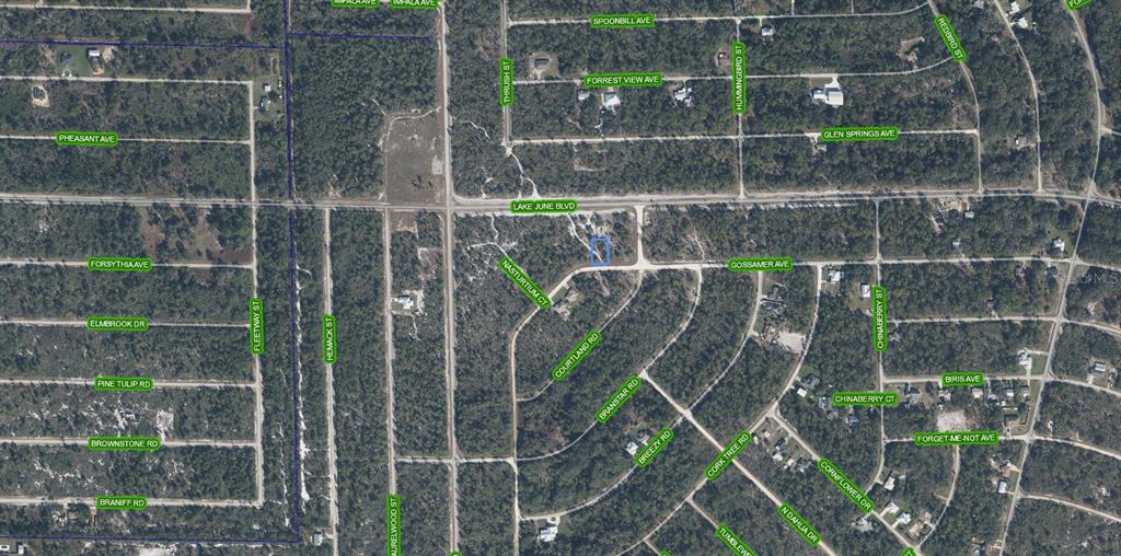 This is an aerial map view of a wooded residential area with highlighted property boundaries — 3324 GOSSAMER AVENUE, LAKE PLACID, FL