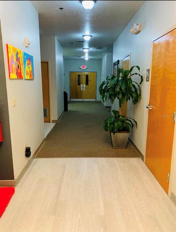 A hallway features light wood flooring, a carpeted section, a potted plant, and wooden doors — 7540 GRAND AVE, WINTER PARK, FL