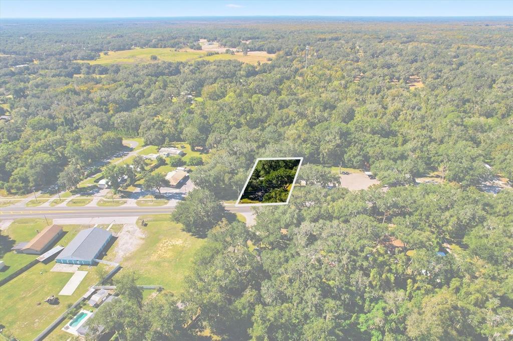 An aerial view shows a wooded lot highlighted by a white border near a road — 2339 N COUNTY 470 ROAD, LAKE PANASOFFKEE, FL