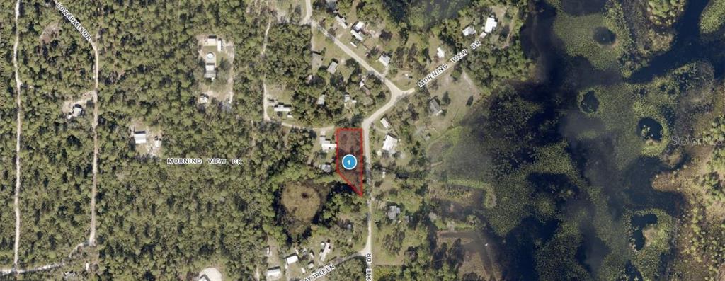 An aerial map view shows a highlighted vacant lot located along a rural road — MORNING VIEW DRIVE, PAISLEY, FL