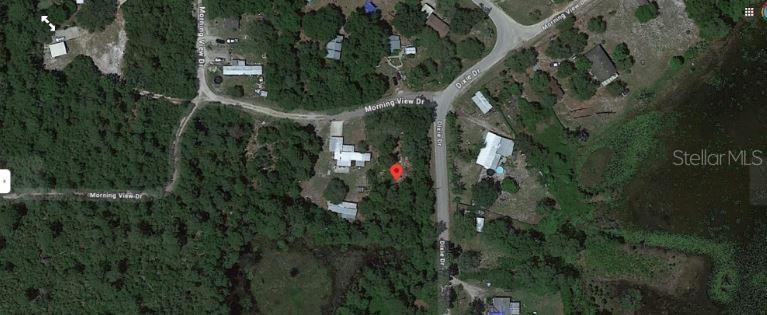 This is a satellite map view showing a residential lot marked with a red pin — MORNING VIEW DRIVE, PAISLEY, FL