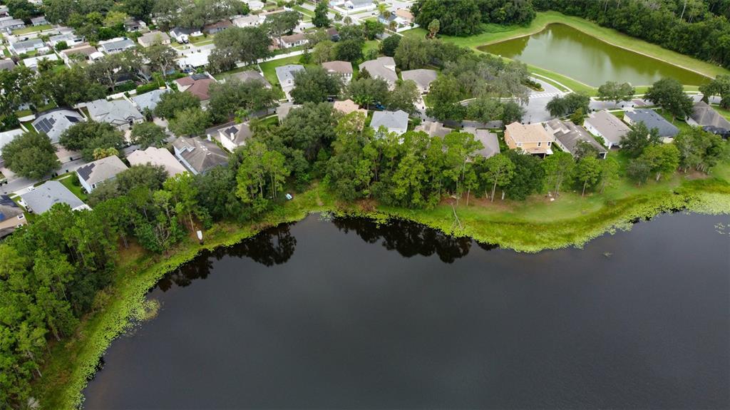 An aerial view shows a suburban neighborhood with houses bordering a large lake — 3341 LAKE JEAN DRIVE, ORLANDO, FL