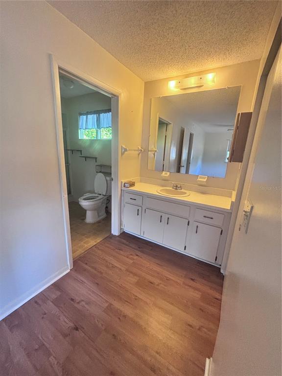 A bathroom features a vanity with a mirror, wood-look flooring, and an adjacent toilet area — 8947 SW 108TH PLACE, OCALA, FL
