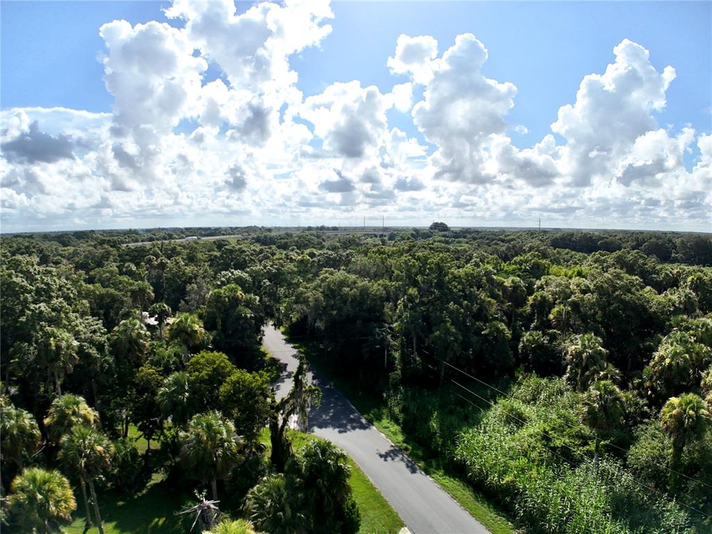 An aerial view shows a paved road winding through a dense, green forest under clouds — 15306 SW PALM OAK AVENUE, INDIANTOWN, FL