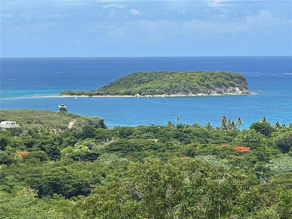 A-1 FINCA VIEQUES
