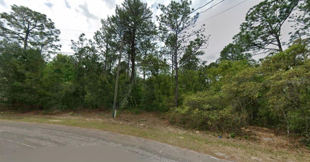 A wooded, undeveloped lot sits along a paved road under a cloudy sky — 7792 N IBSEN DRIVE, DUNNELLON, FL