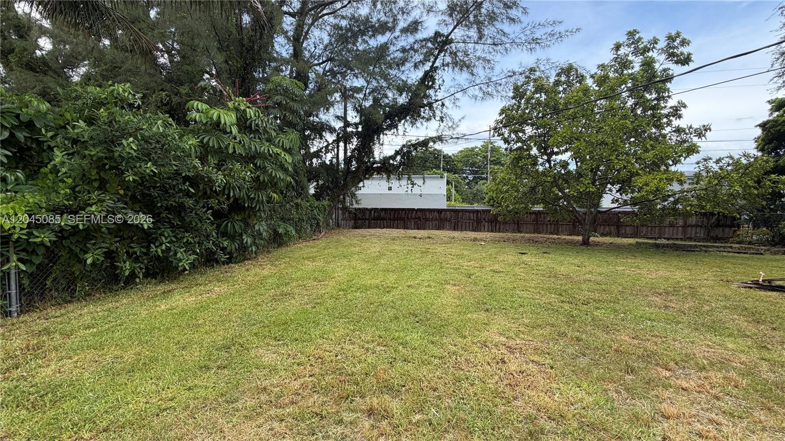 A grassy backyard features a wooden fence, mature trees, and dense foliage — 6411 SW 62nd Ct, South Miami FL 33143, SOUTH MIAMI, FL