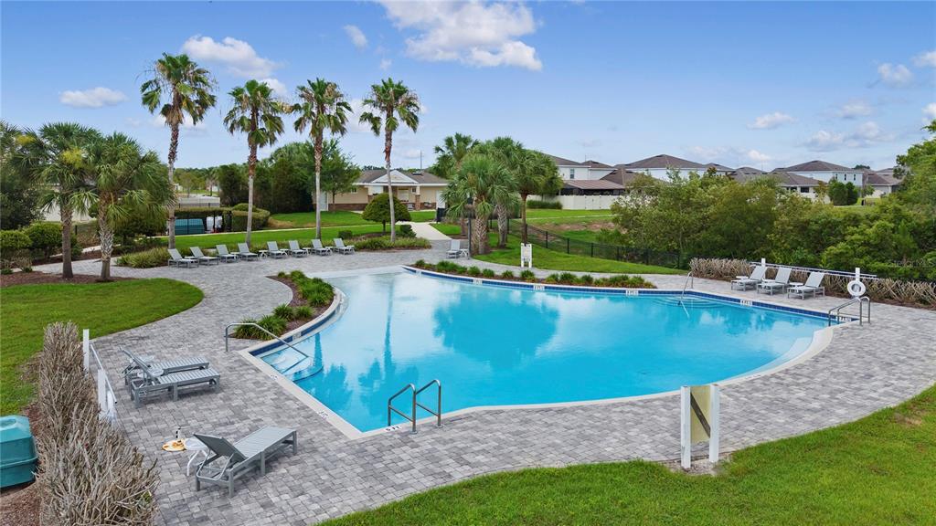 An outdoor swimming pool surrounded by a paved deck, lounge chairs, and palm trees — 536 AFFIRMED WAY, DAVENPORT, FL