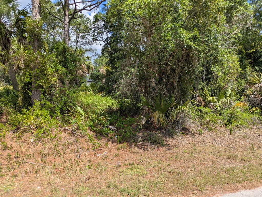 A densely wooded, undeveloped residential lot with various trees and low-lying vegetation — DELIGHT AVENUE, NORTH PORT, FL