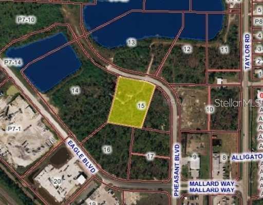 This is a map showing a highlighted parcel of land labeled 15 near a road — 10271 PHEASANT BOULEVARD, PUNTA GORDA, FL