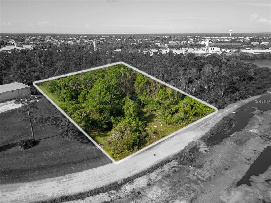 An aerial view shows a rectangular, tree-covered plot of land outlined in white — 10271 PHEASANT BOULEVARD, PUNTA GORDA, FL