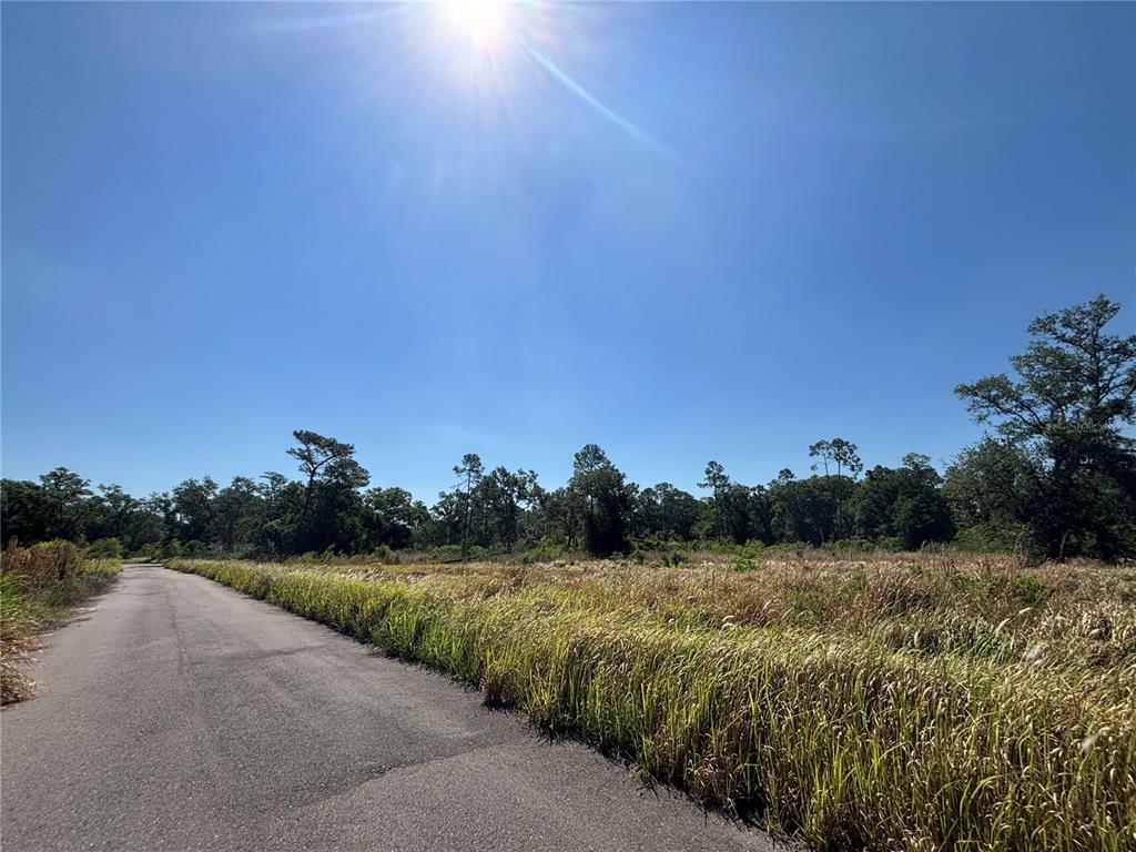 A paved road runs alongside a large, grassy, undeveloped lot under a bright sunny sky — ARDENWOOD, TAMPA, FL