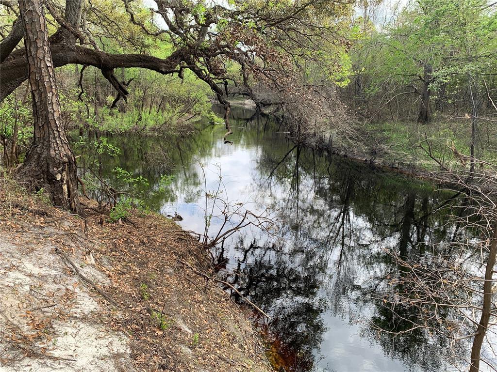 A calm, dark-water creek flows through a wooded area with overhanging tree branches — 33074 RANCH ROAD, DADE CITY, FL