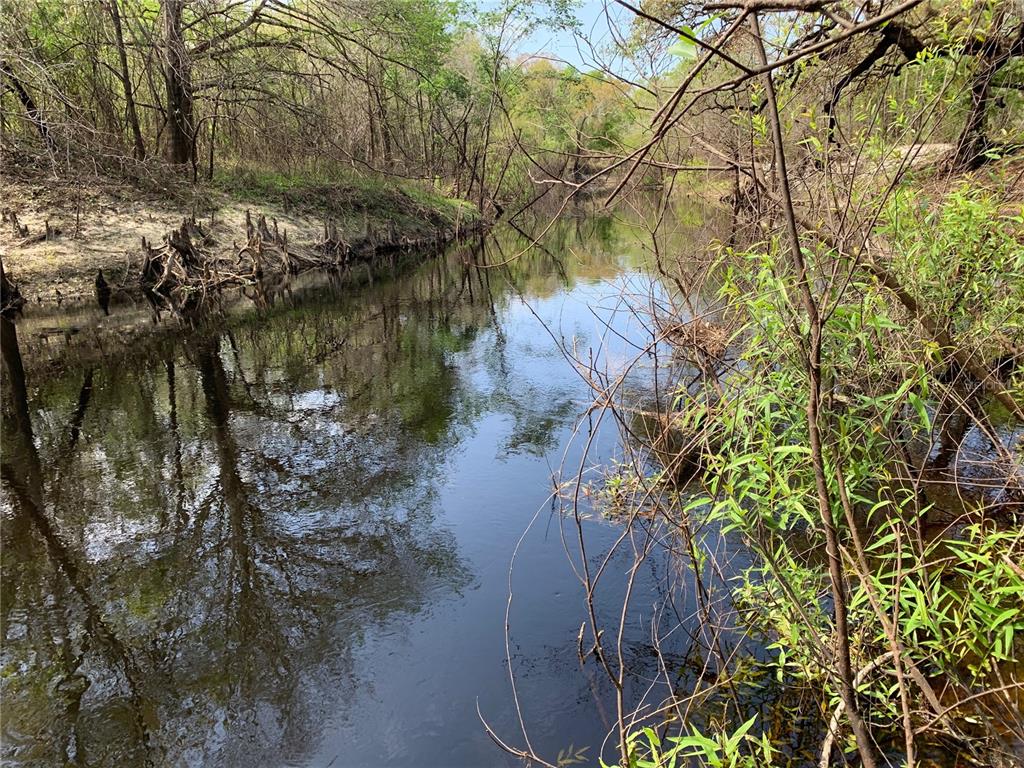 A narrow, dark stream flows through a wooded area with exposed tree roots along the bank — 33074 RANCH ROAD, DADE CITY, FL