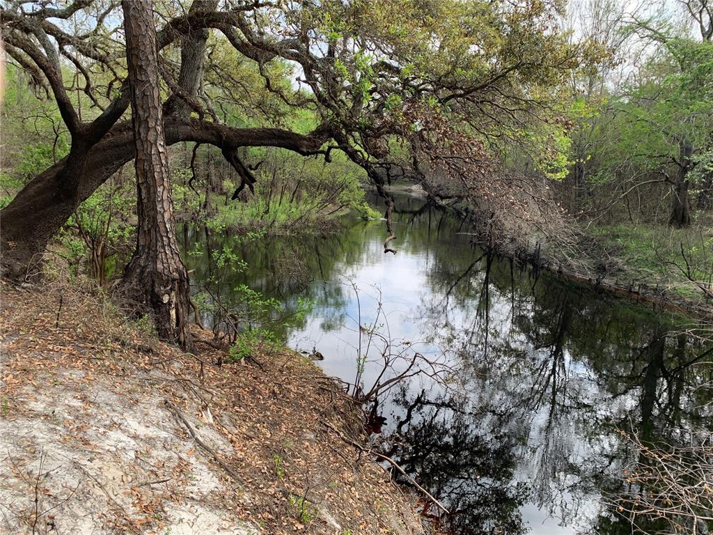 A calm, dark creek flows through a wooded area with overhanging tree branches — 33074 RANCH ROAD, DADE CITY, FL