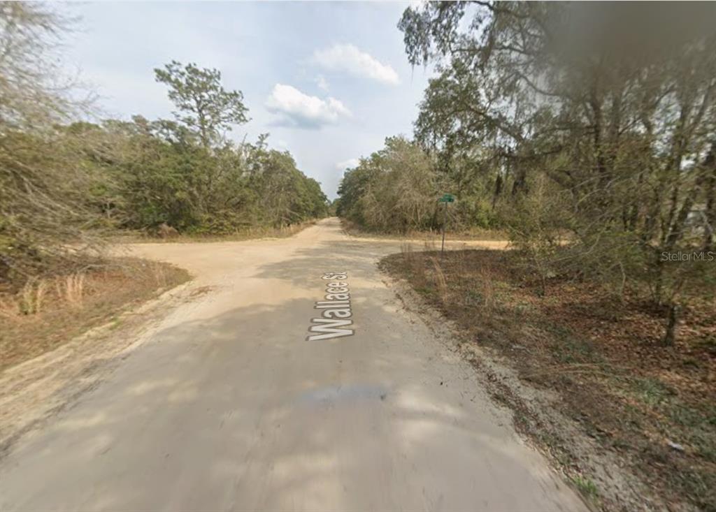 An unpaved dirt road intersection is surrounded by dense trees and brush — LOT 18 WALLACE STREET, INTERLACHEN, FL