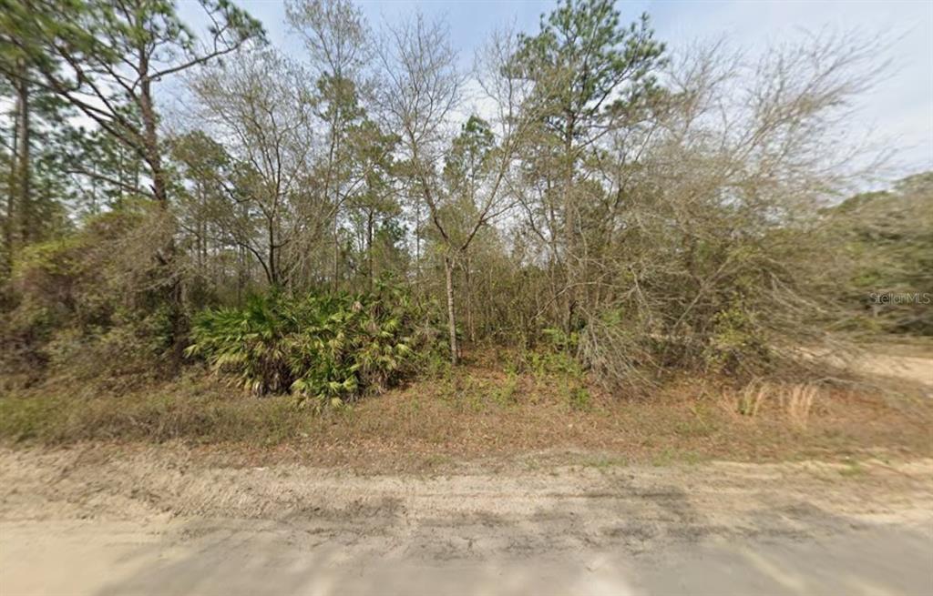 A dirt road runs in front of a densely wooded, undeveloped lot — LOT 18 WALLACE STREET, INTERLACHEN, FL