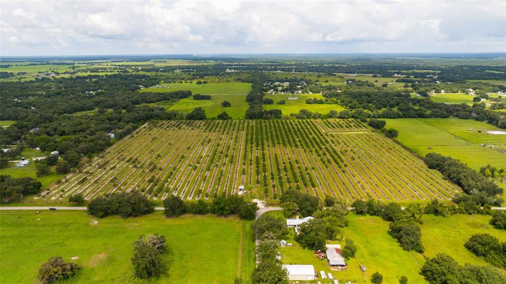 An aerial view shows a large orchard with rows of trees next to a house — SW CARLTON AVENUE, ARCADIA, FL