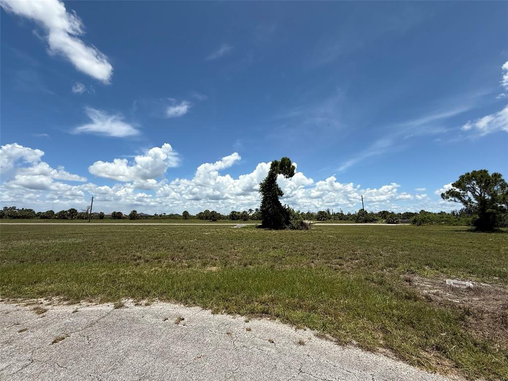 A large, grassy vacant lot features a uniquely shaped tree under a blue sky — 18 SATINWOOD PLACE, PLACIDA, FL