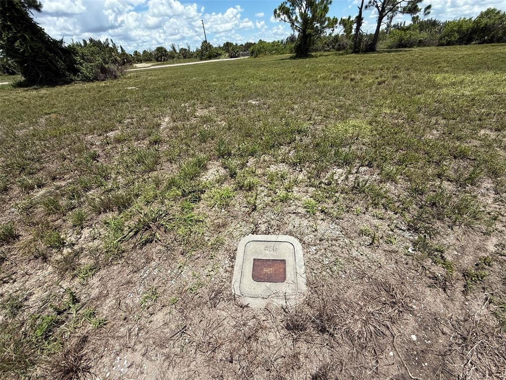 A water meter box sits in the grass of an undeveloped, sunlit lot — 18 SATINWOOD PLACE, PLACIDA, FL