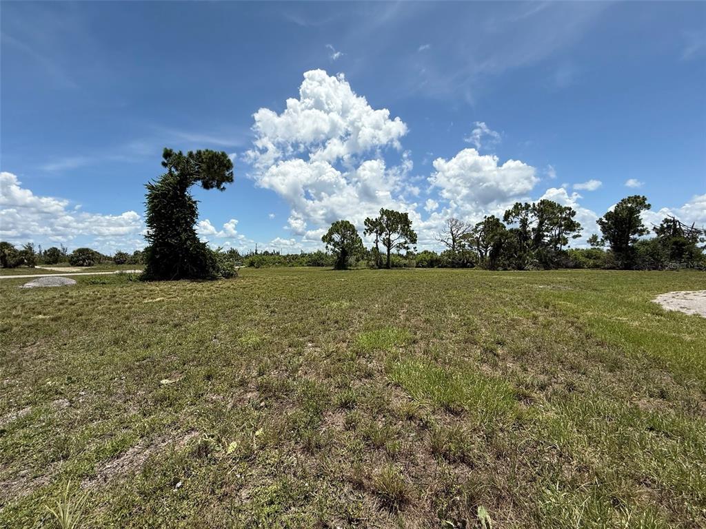 A grassy, undeveloped lot features scattered trees under a bright blue sky with clouds — 18 SATINWOOD PLACE, PLACIDA, FL