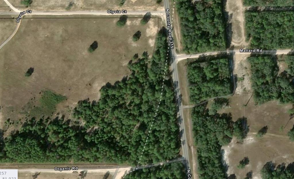 This is an aerial map view of a wooded lot near road intersections — COUNTY ROAD 315C, MELROSE, FL