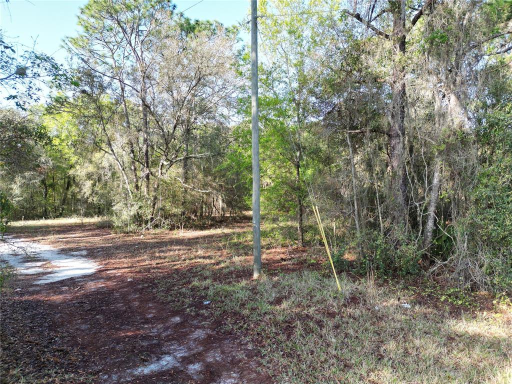 0000 E HWY 25, BELLEVIEW, FL — photo 2 of 7