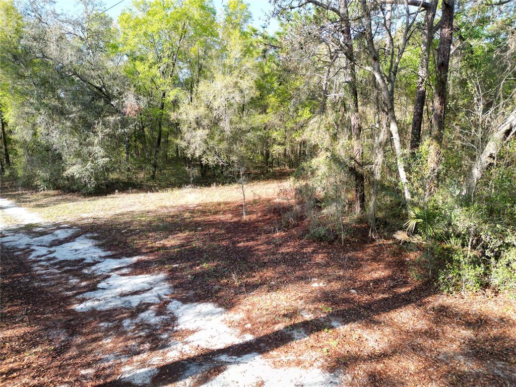 0000 E HWY 25, BELLEVIEW, FL — photo 3 of 7