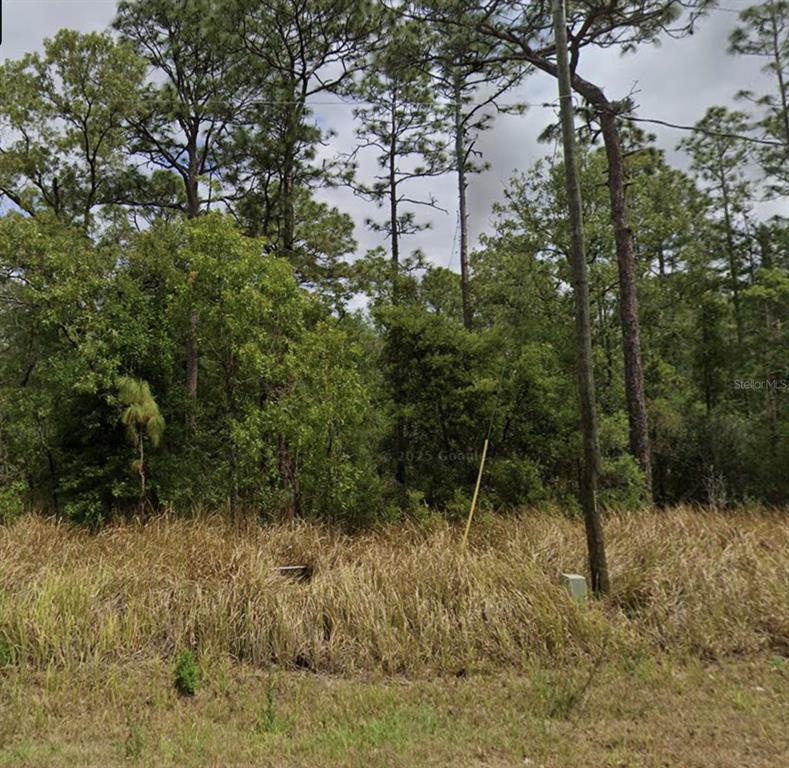 0 BAHIA TERRACE DRIVE, OCALA, FL — photo 2 of 2