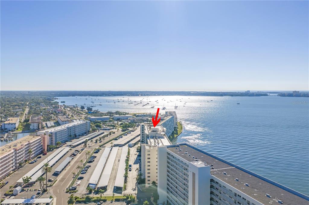 An aerial view shows a multi-story waterfront apartment complex with a red arrow pointing toward the roof — 6020 SHORE BOULEVARD S UNIT 712, GULFPORT, FL