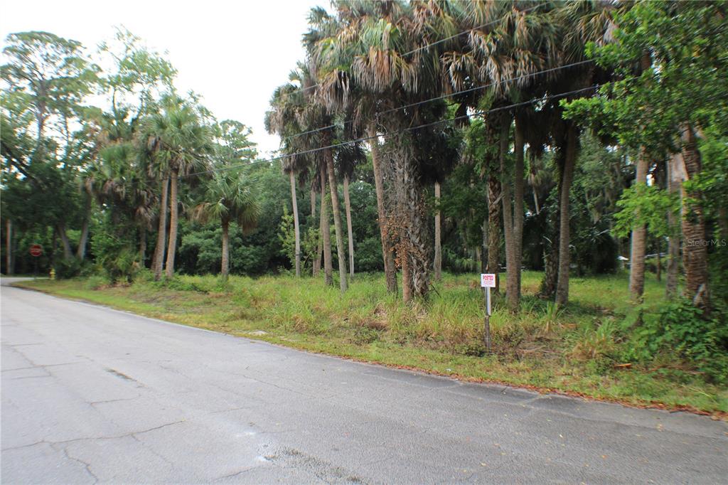 A paved road runs alongside a wooded lot with tall palm trees and a posted sign — 48 VALLEY STREET, PORT ORANGE, FL