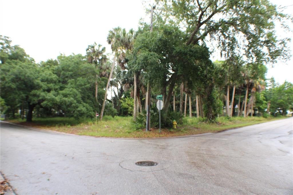 A street corner with a grassy lot, mature trees, and a fire hydrant — 48 VALLEY STREET, PORT ORANGE, FL